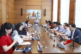 Đoàn đại biểu Quốc hội các tỉnh Bắc Giang, Quảng Bình, Long An thảo luận ở tổ. (Ảnh: Doãn Tấn/TTXVN)