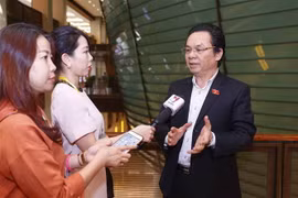 Phóng viên phỏng vấn đại biểu Quốc hội thành phố Hà Nội Hoàng Văn Cường bên hành lang Quốc hội. (Ảnh: Doãn Tấn/TTXVN)