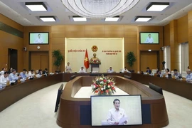 Phó Chủ tịch Quốc hội Nguyễn Đức Hải phát biểu. (Ảnh: Doãn Tấn/TTXVN)