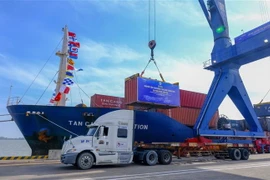 Bốc dỡ container lên tàu Tan Cang Foundation. (Ảnh: Thanh Liêm/TTXVN)