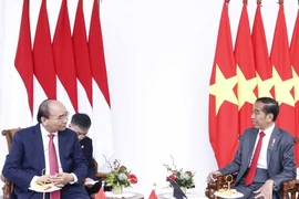 Chủ tịch nước Nguyễn Xuân Phúc gặp hẹp Tổng thống Indonesia Joko Widodo. (Ảnh: Thống Nhất/TTXVN)