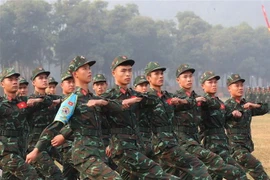 Đội tuyển Việt Nam. (Ảnh: Trọng Đức/TTXVN)