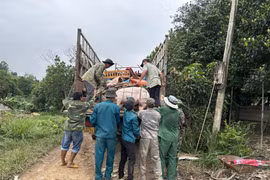 Lực lượng hỗ trợ di dời tài sản cho một hộ gia đình sang khu tái định cư số 1. (Nguồn: Báo Đắk Lắk)
