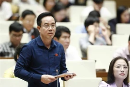 Đại biểu Quốc hội tỉnh Thái Bình Nguyễn Văn Huy phát biểu. (Ảnh: An Đăng/TTXVN)