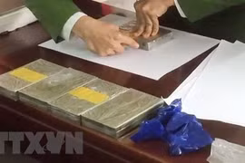 Ảnh minh họa. (Nguồn: TTXVN)
