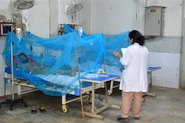 Bệnh nhân mắc sốt xuất huyết được điều trị tại bệnh viện ở Karachi, Pakistan. (Ảnh: THX/TTXVN)