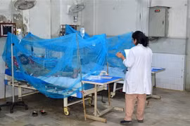 Bệnh nhân mắc sốt xuất huyết được điều trị tại bệnh viện ở Karachi, Pakistan. (Ảnh: THX/TTXVN)