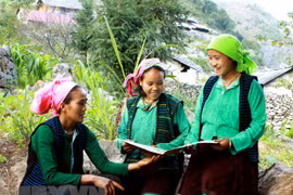Ảnh minh họa. (Nguồn: TTXVN)