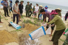 Ngư dân cùng lực lượng biên phòng thu gom, chôn lấp cá chết dạt vào bờ năm 2016. (Ảnh: TTXVN)