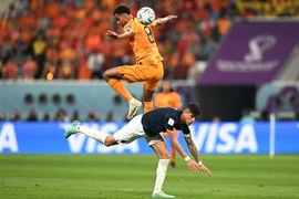 Tiền đạo Hà Lan Cody Gakpo (trên) trong pha tranh bóng với hậu vệ Piero Hincapie của Ecuador. (Ảnh: AFP/TTXVN)