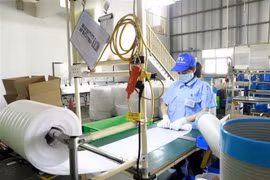 Ảnh minh họa. (Nguồn: TTXVN)