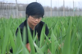 Chị Trần Thị Quỳnh Vân tại nông trại của mình ở phường Hưng Đạo, quận Dương Kinh, thành phố Hải Phòng. (Ảnh: Hoàng Ngọc/TTXVN)