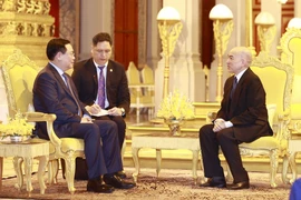 Chủ tịch Quốc hội Vương Đình Huệ yết kiến Quốc vương Campuchia Norodom Sihamoni. (Ảnh: Doãn Tấn/TTXVN)