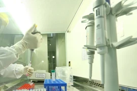 Ảnh minh họa. (Nguồn: TTXVN)