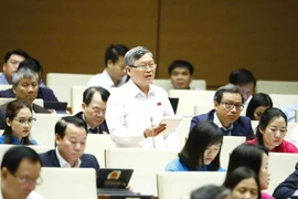 Đại biểu Quốc hội tỉnh Kon Tum Tô Văn Tám phát biểu ý kiến. (Ảnh: Minh Đức/TTXVN)