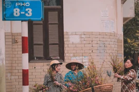 Phố 8/3 dài khoảng 500 mét, chạy từ bờ tây sông Kim Ngưu đến phố Quỳnh Mai (quận Hai Bà Trưng). (Ảnh: Minh Sơn/Vietnam+)