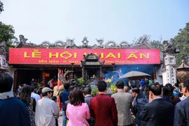 Ngay từ chiều ngày 21/2 (tức ngày 14 âm lịch), du khách thập phương đã nô nức về trẩy hội đền Trần. (Ảnh: Minh Sơn/Vietnam+)