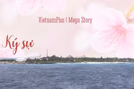 Ký sự: Xuân về Trường Sa
