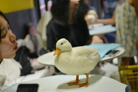 Quán càphê vịt cảnh. (Nguồn: hindustantimes.com)