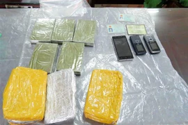 (Ảnh minh họa: TTXVN phát)