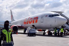 Máy bay Boeing 737-800 của hãng hàng không Lion Air. (Nguồn: AFP/TTXVN)