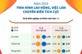 Năm 2019: Tình hình lao động, việc làm chuyển biến tích cực