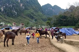 Cao Bằng: Người dân dựng lán ngủ ngoài đồng sau động đất thứ 2