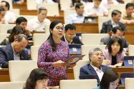 Đại biểu Quốc hội tỉnh Bắc Giang Leo Thị Lịch phát biểu. (Ảnh: Phương Hoa/TTXVN)