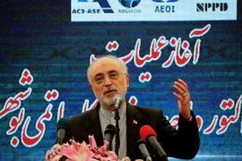 Người đứng đầu Tổ chức Năng lượng Nguyên tử Iran (AEOI) Ali Akbar Salehi phát biểu tại một sự kiện ở Bushehr ngày 10/11 vừa qua. (Ảnh: AFP/TTXVN)