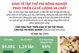 Kinh tế tập thể phi nông nghiệp phát triển cả về lượng và chất