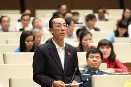 Đại biểu Quốc hội Thành phố Hồ Chí Minh Trần Hoàng Ngân phát biểu. (Ảnh: Văn điệp/TTXVN)