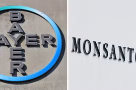 Biểu tượng Bayer và Monsanto. (Ảnh: AFP/TTXVN)