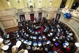 Toàn cảnh phiên họp Thượng viện Argentina tại Buenos Aires. (Ảnh: AFP/TTXVN)
