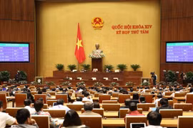 Các đại biểu Quốc hội biểu quyết thông qua Luật Thư viện với 442/446 đại biểu tán thành, đạt tỷ lệ 91,51%. (Ảnh: Dương Giang/TTXVN)