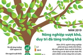 Năm 2019: Nông nghiệp vượt khó, duy trì đà tăng trưởng khá