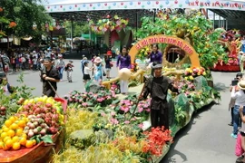 (Ảnh minh họa: An Hiếu/TTXVN)