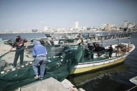 Ngư dân Palestine đánh bắt cá tại Dải Gaza. (Nguồn: AFP/TTXVN)