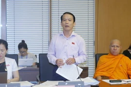 Đại biểu Quốc hội tỉnh Sóc Trăng Hoàng Thanh Tùng phát biểu tại tổ. (Ảnh: Văn Điệp/TTXVN)