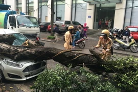 (Ảnh minh họa: Doãn Tấn/TTXVN)