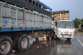 (Ảnh chỉ có tính minh họa: K GỬIH/TTXVN)