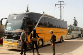 Xe buýt chở các tay súng đối lập từ thị trấn Fuaa và Kafraya, tới trạm trung chuyển Rashidin, ngoại ô thành phố Aleppo do Chính phủ kiểm soát ngày 21/4. (Nguồn: AFP/TTXVN)