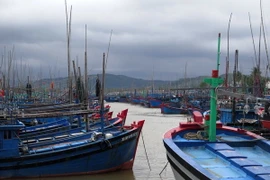 (Ảnh minh họa: Viết Ý/TTXVN)