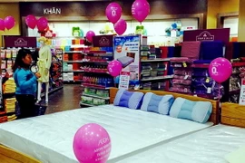 (Ảnh minh họa: TTXVN phát)