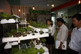 Một số hình ảnh tại triển lãm. (Ảnh: Hoàng Hải/Vietnam+)