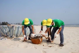 Ảnh chỉ có tính minh hoạ. (Ảnh: Thanh Thủy/TTXVN)