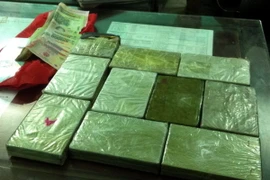 Ảnh chỉ có tính minh họa. (Ảnh: Văn Đạt/TTXVN)