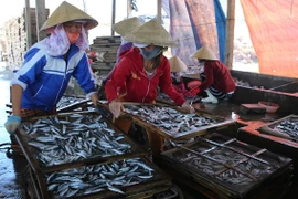 Ảnh chỉ có tính minh họa. (Ảnh: Hồ Cầu/TTXVN)