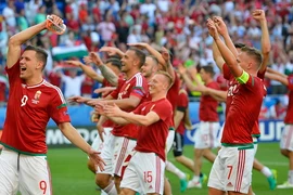 Các cầu thủ đội Hungary ăn mừng sau trận hòa Bồ Đào Nha 3-3. (Nguồn: EPA/TTXVN)