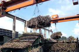 Nhà máy đường Phổ Phong vào vụ ép mía. (Ảnh: Thanh Long/TTXVN)