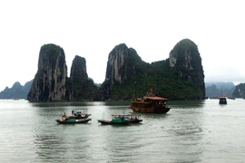 Vịnh Hạ Long hấp dẫn du khách bởi vẻ đẹp quyến rũ và kỳ bí. (Ảnh: Tiến Dũng/TTXVN)